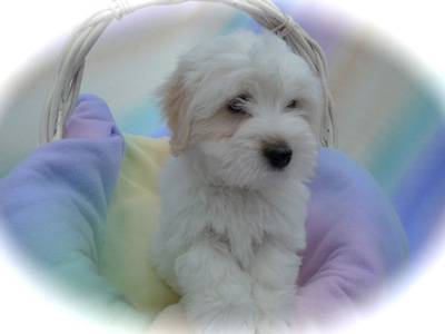 website1male8weeksolda1