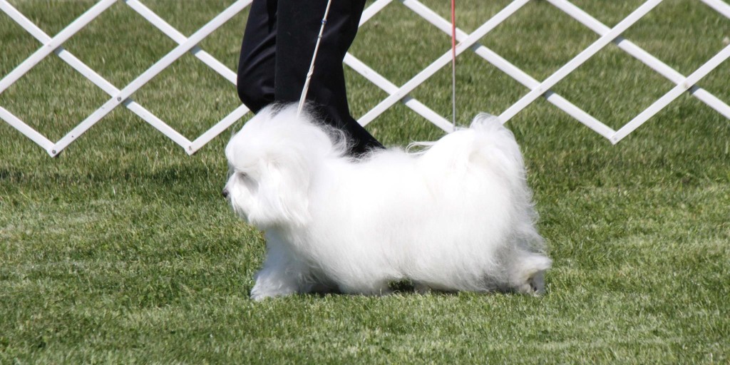 913874_4646869974060_177569355_o-2