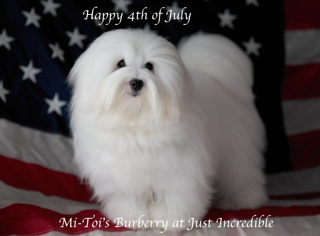 Mi-Toi's BurberryL1004445