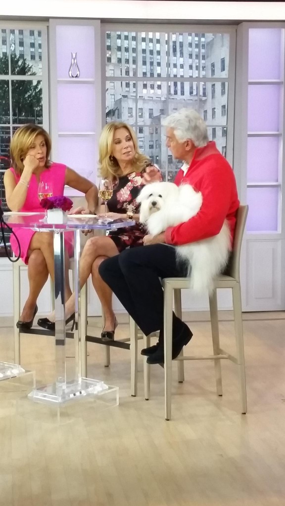 10521447_10203697305566152_143659851271826186_o