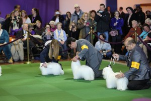 10838236_10204310866864801_5495515843875095677_o