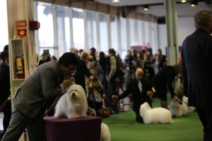 10873566_10204310873384964_527731712325733685_o