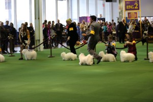 11004582_10204310901785674_5210983963879860320_o