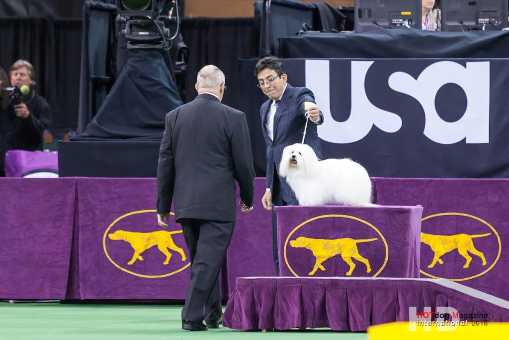 10683678_10204153588598512_8067447559333442168_o