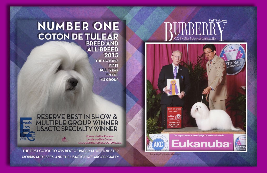 12620759_10206005538882229_1361262897_o